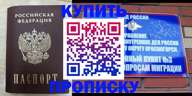 прописка гарантия в Куровском